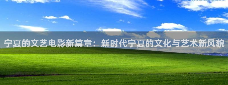 金牌女王电影免费完整版在线观看：宁夏的文艺电影新篇章：新时代宁夏的文化与艺术新风貌