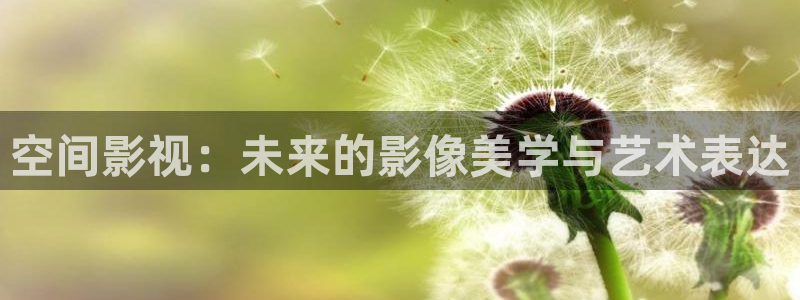 金牌影院2024全集免费观看：空间影视：未来的影像美学与艺术表达