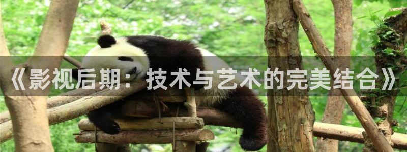 金牌影视官网首页：《影视后期：技术与艺术的完美结合》