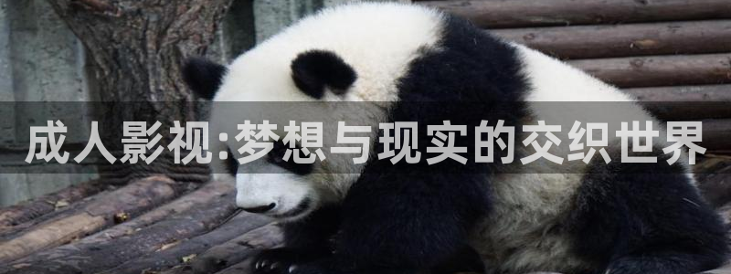金牌特遣队电影免费观看：成人影视:梦想与现实的交织世界