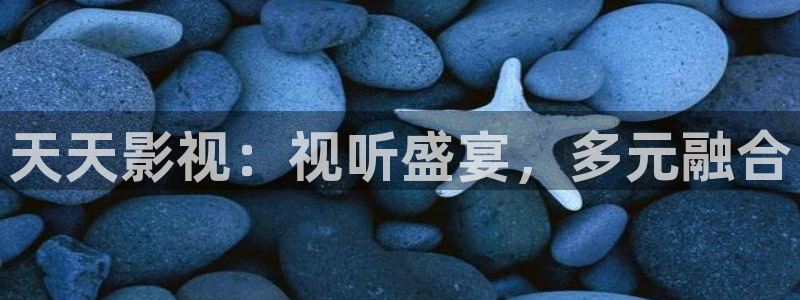 金牌影视app官方下载：天天影视：视听盛宴，多元融合