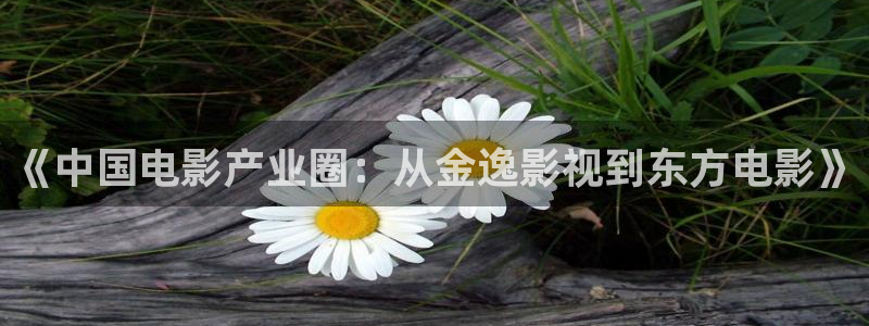 电影金牌：《中国电影产业圈：从金逸影视到东方电影》