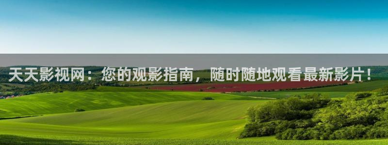 金牌影院雁回时：天天影视网：您的观影指南，随时随地观看最新影片！