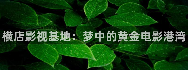 金牌影院看电视剧免费：横店影视基地：梦中的黄金电影港湾